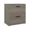 Kathy Ireland® Home By Bush Furniture City Park 2-Drawer Lateral File Cabinet, Letter/Legal, Driftwood Gray (CPF127DG-03)