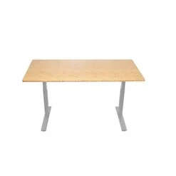 Uncaged Ergonomics Rise Up Electric Adjustable Height Standing Desk With Natural Bamboo Desktop Gray Frame, Bamboo Desktop Rugb)