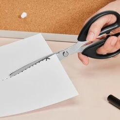 Staples 8" Pointed Tip Stainless Steel Scissors, Straight Handle, Right & Left Handed, 2/Pack (TR55043) -Office Supplies Shop 795244DA 85AE 48F1 80FE985A703D73B0 sc7