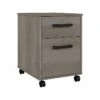 Kathy Ireland® Home By Bush Furniture City Park 2-Drawer Mobile File Cabinet, Letter/Legal, Driftwood Gray (CPF116DG-03)