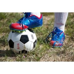 Sharpie EXtreme Permanent Markers, Fine Tip, Black, 4/Pack (1927436) -Office Supplies Shop s1205282 sc7