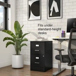 Staples 2-Drawer Light Duty Vertical File Cabinet, Locking, Letter, Black, 18"D (52142) -Office Supplies Shop s1212919 sc7