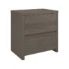 Bush Furniture Bristol 2-Drawer Lateral File Cabinet, Letter/Legal, Restored Gray/Thread Gray, 29" (BRF129RT-03)