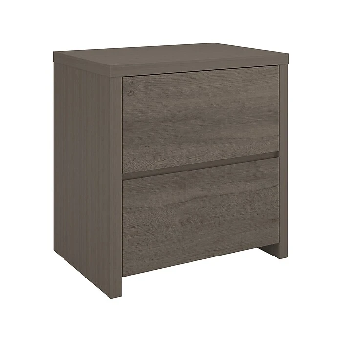 Bush Furniture Bristol 2-Drawer Lateral File Cabinet, Letter/Legal, Restored Gray/Thread Gray, 29" (BRF129RT-03) 1 Bush Furniture Bristol 2-Drawer Lateral File Cabinet, Letter/Legal, Restored Gray/Thread Gray, 29" (BRF129RT-03)