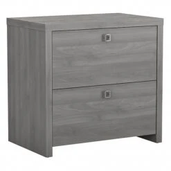 Office By Kathy Ireland® Echo 2-Drawer Lateral File Cabinet, Letter/Legal, Modern Gray, 32" (KI60402-03)